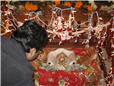 Hari Jayanti (13).jpg
